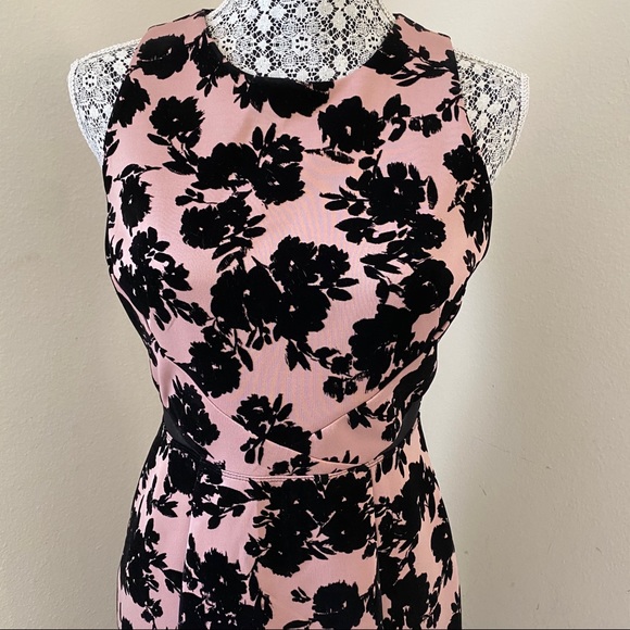 NWT Enfocus Studio Pink Black Velvet Floral Maxi 6 - Picture 2 of 13